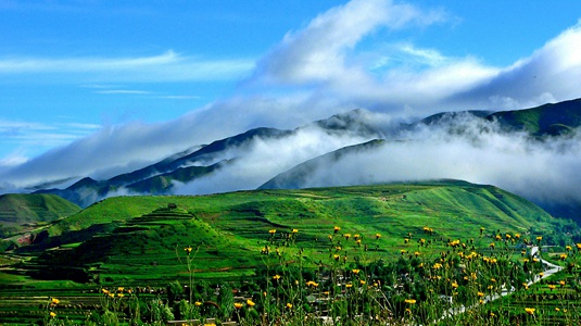 我的寧夏我的家