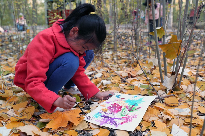 组图:秋来到 银川凤凰公园感受秋日美景