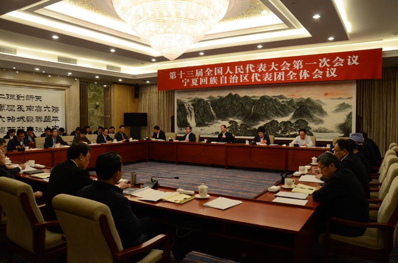 宁夏代表团举行全体会议 审议国务院机构改革方案