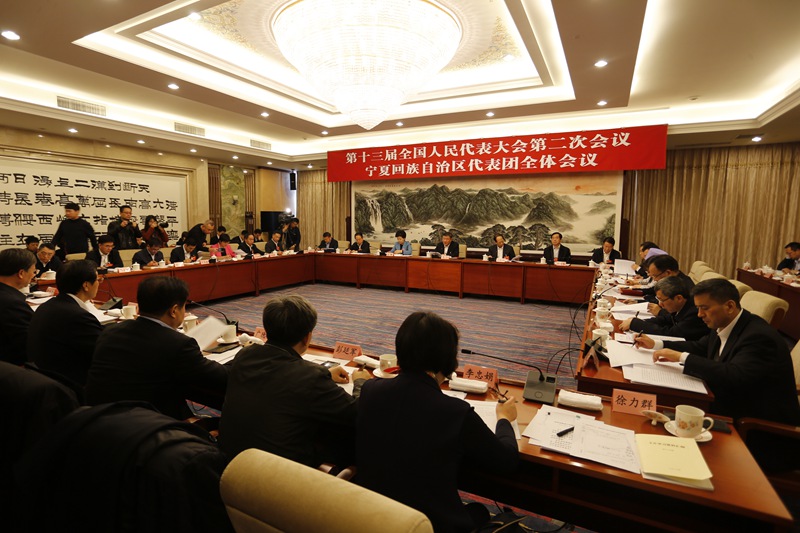 聚焦两会|宁夏代表团举行全体会议 审议政府工作报告