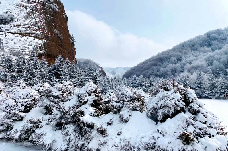 近日，寧夏西吉縣火石寨國家地質（森林）公園迎來一場春雪。羅燕攝
