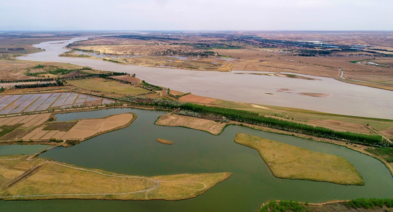 從空中俯瞰，蜿蜒的濕地與成片的稻田在黃河兩岸綿延。李靖攝