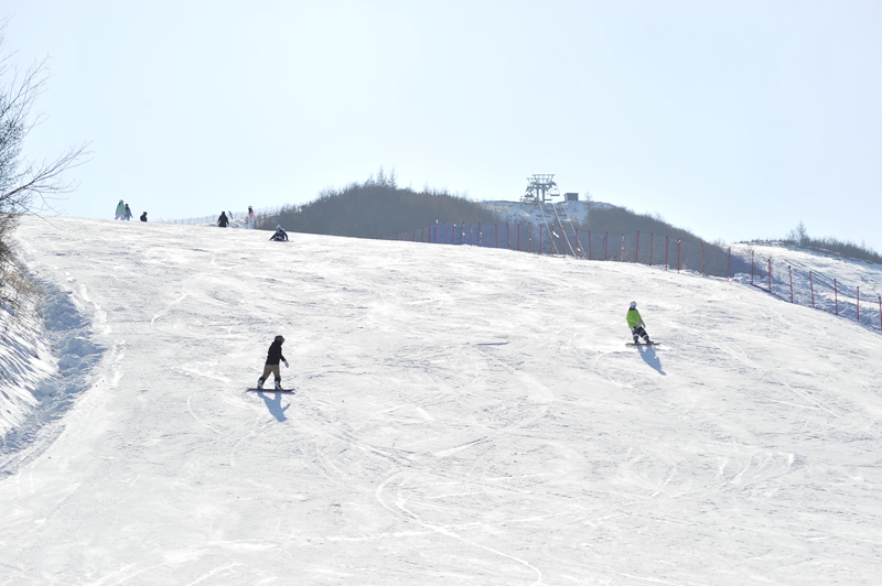 游客正在滑雪。冶宝军摄