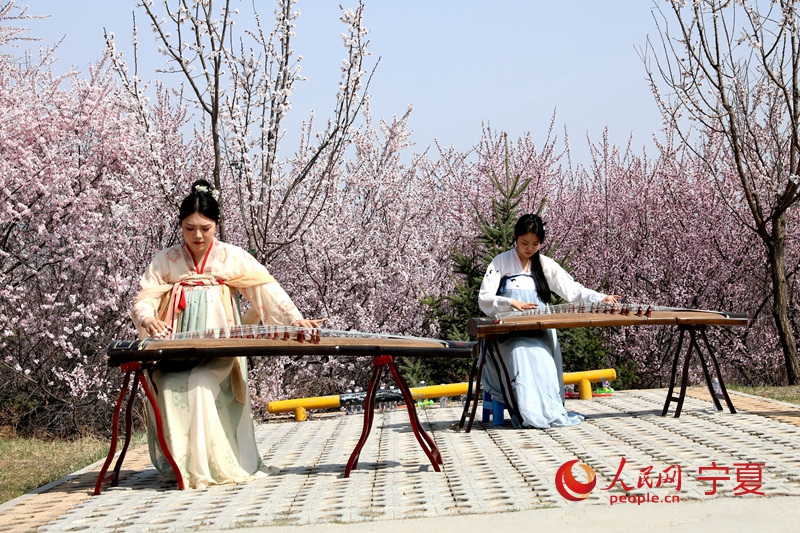 第二十届宁夏六盘山山花节暨第十二届“梯田花海·醉美彭阳”文化旅游节活动在彭阳县开幕。李甜甜摄