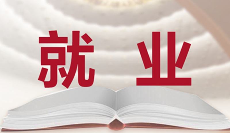 两会观察丨10个词看宁夏2025怎样给力美好生活