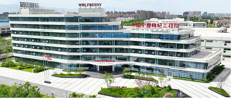 沃福百瑞寧夏枸杞館旅游景區。寧夏文旅廳供圖