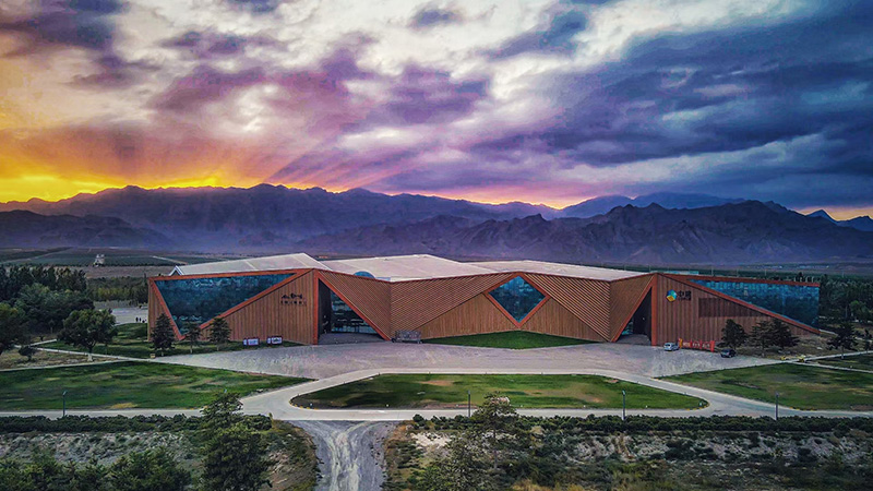 中糧長城天賦酒庄景區。寧夏文旅廳供圖