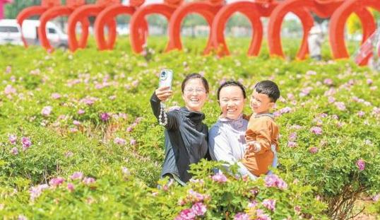 双城联动激活“空心村”