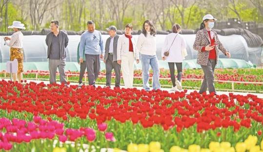银川市推进“一园一景”景观提升工程