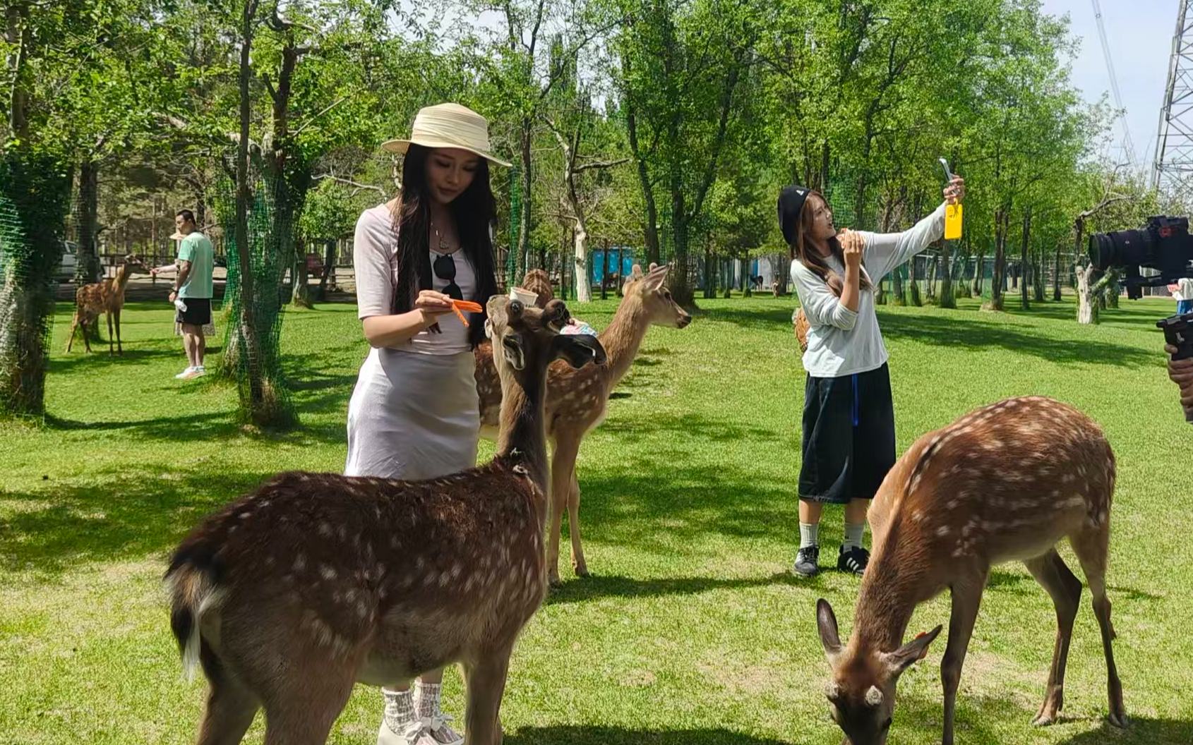 寧夏靈武市“5·19中國旅游日”系列活動啟幕