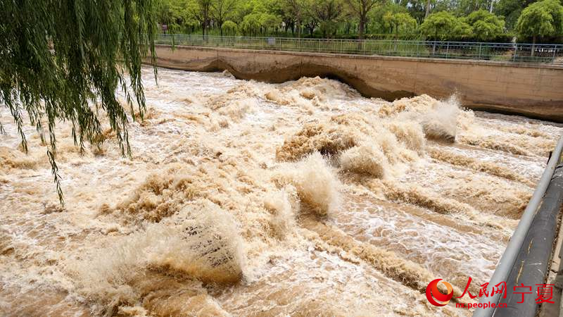 汉延渠水流奔涌。人民网 李熙摄