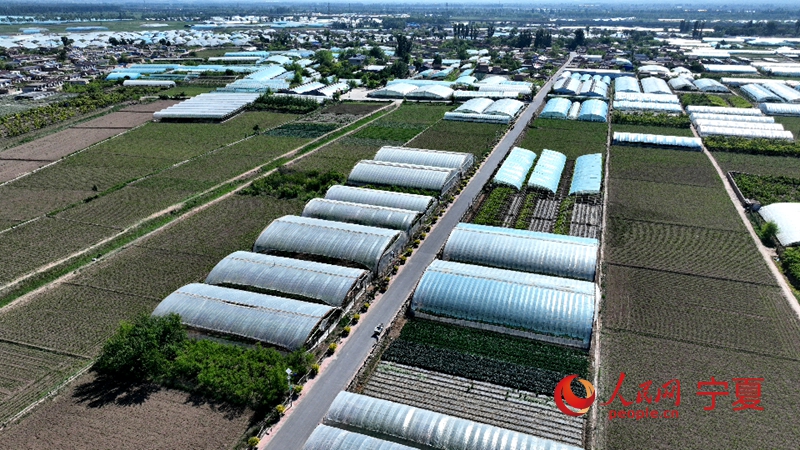 设施农业。人民网记者 李甜甜摄