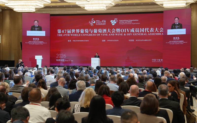大会现场。人民网记者 梁宏鑫摄