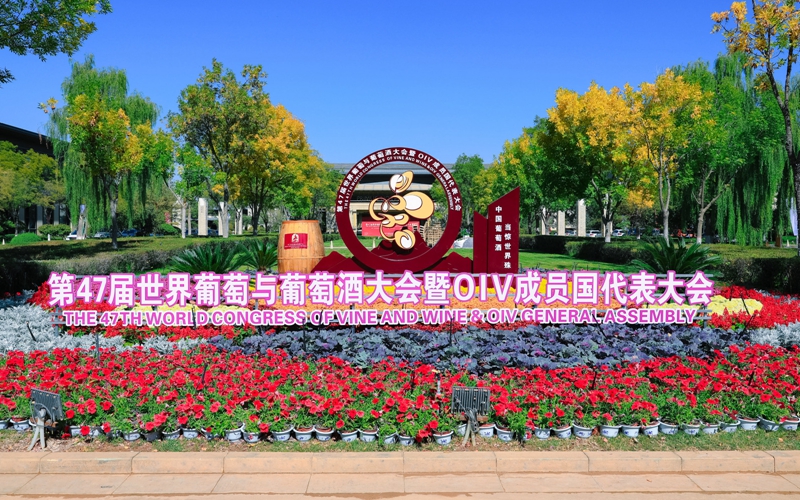 第47届世界葡萄与葡萄酒大会暨OIV成员国代表大会在银川隆重开幕。人民网记者 梁宏鑫摄