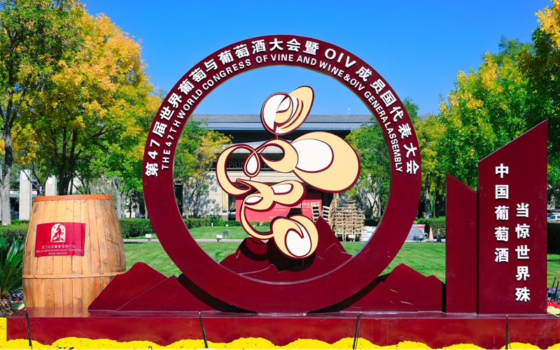 大会现场。人民网记者 梁宏鑫摄