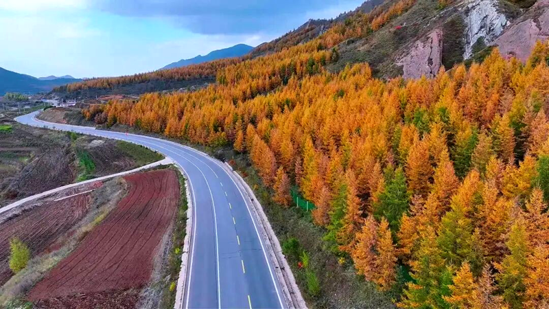 六盤山秋景。王寧寧攝
