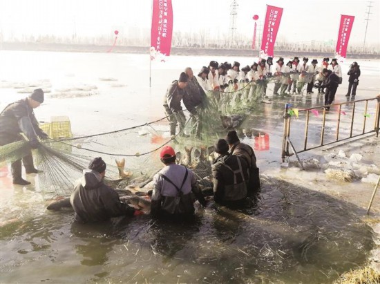 阅海湖跨年冬捕开网